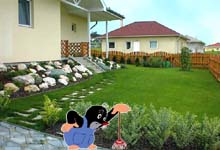 metsz�s, f�ny�r�s