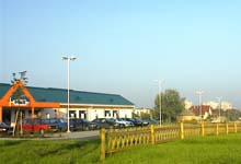 parkgondoz�s, metsz�s, f�ny�r�s